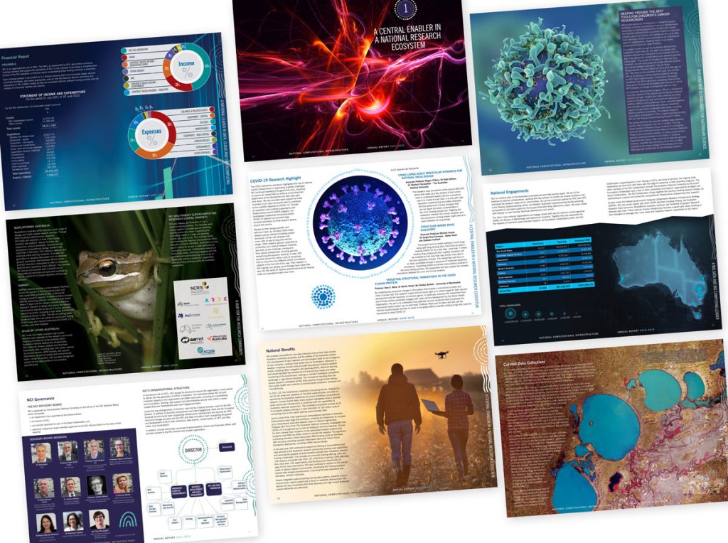 NCI Annual report pages