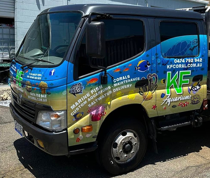 Vehicle Wrap